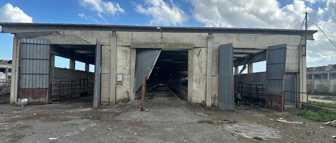 WhatsApp Image 2025-01-22 at 13.25.03